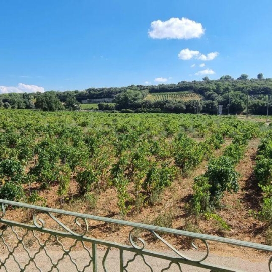 AGENCE TEMPLUM : Maison / Villa | CHATEAUNEUF-DU-PAPE (84230) | 40.00m2 | 696 € 