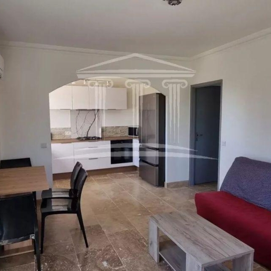  AGENCE TEMPLUM : Maison / Villa | CHATEAUNEUF-DU-PAPE (84230) | 40 m2 | 696 &euro; 