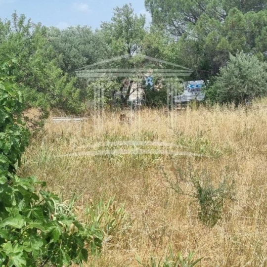 AGENCE TEMPLUM : Terrain | SORGUES (84700) | m2 | 118 000 € 
