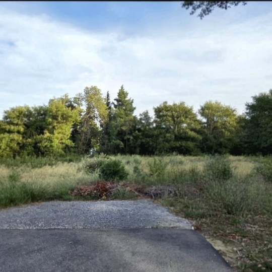 AGENCE TEMPLUM : Terrain | BEDARRIDES (84370) | 263.00m2 | 190 000 € 