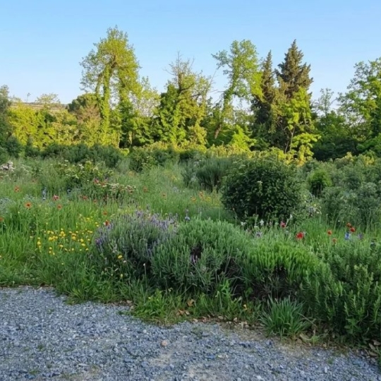 AGENCE TEMPLUM : Terrain | BEDARRIDES (84370) | 263.00m2 | 190 000 € 