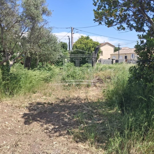AGENCE TEMPLUM : Terrain | SORGUES (84700) | m2 | 128 000 € 