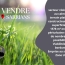  AGENCE TEMPLUM : Terrain | SARRIANS (84260) | 0 m2 | 208 000 € 