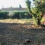  AGENCE TEMPLUM : Terrain | SORGUES (84700) | 0 m2 | 127 000 &euro; 