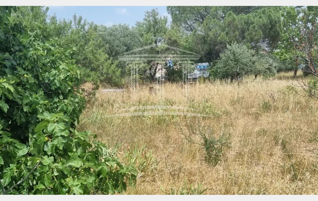 AGENCE TEMPLUM : Terrain | SORGUES (84700) | 0 m2 | 118 000 € 