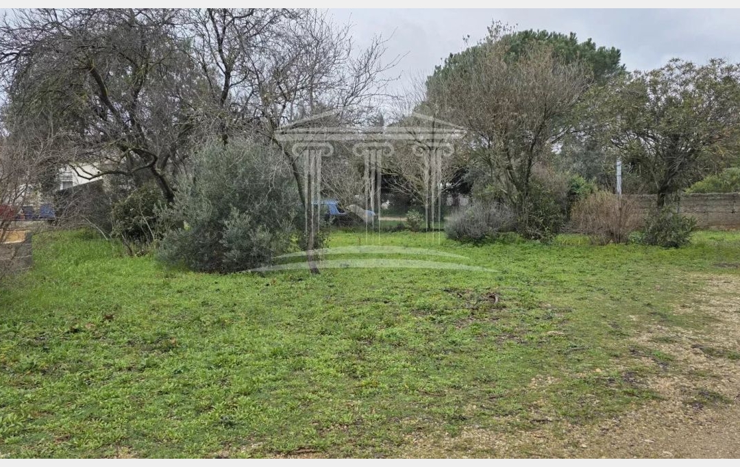 AGENCE TEMPLUM : Terrain | SORGUES (84700) | 0 m2 | 108 000 &euro; 