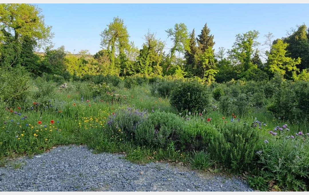 AGENCE TEMPLUM : Terrain | BEDARRIDES (84370) | 263 m2 | 190 000 &euro; 