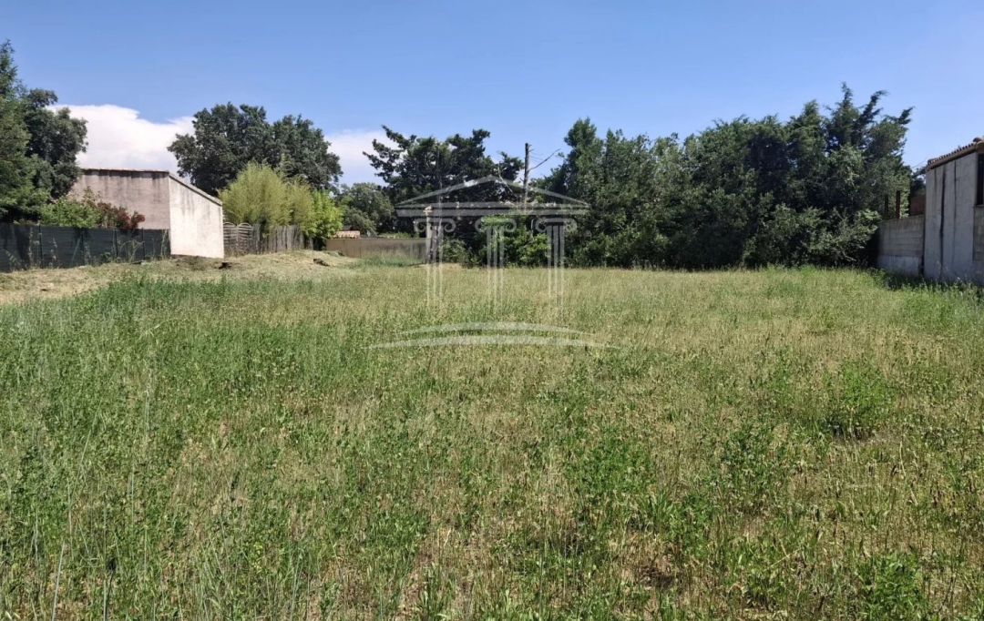 AGENCE TEMPLUM : Terrain | SORGUES (84700) | 0 m2 | 190 000 &euro; 