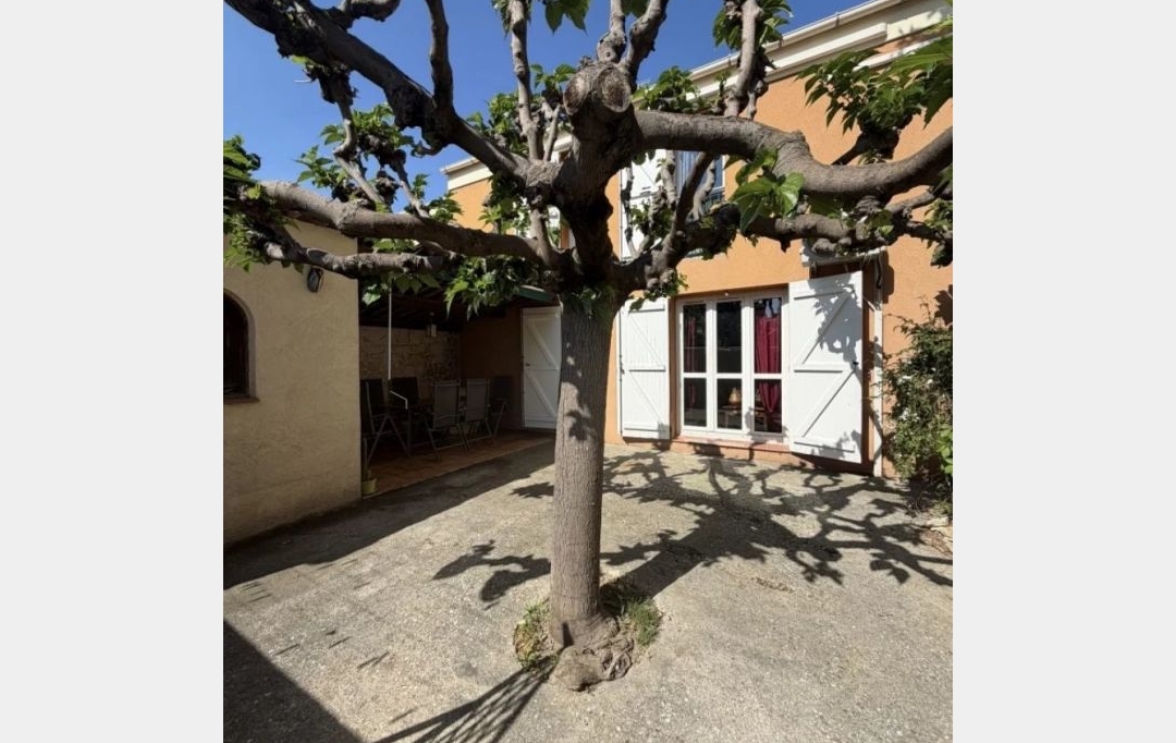 AGENCE TEMPLUM : Maison / Villa | MONTFAVET (84140) | 96 m2 | 219 000 &euro; 