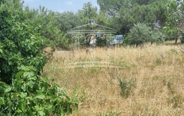  AGENCE TEMPLUM Terrain | SORGUES (84700) | 0 m2 | 118 000 € 