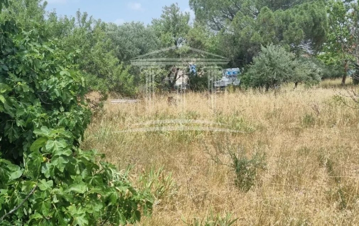  AGENCE TEMPLUM Terrain | SORGUES (84700) | 0 m2 | 118 000 € 