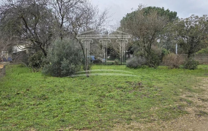  AGENCE TEMPLUM Terrain | SORGUES (84700) | 0 m2 | 108 000 € 