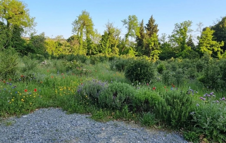  AGENCE TEMPLUM Terrain | BEDARRIDES (84370) | 263 m2 | 190 000 € 