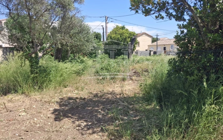  AGENCE TEMPLUM Terrain | SORGUES (84700) | 0 m2 | 128 000 € 